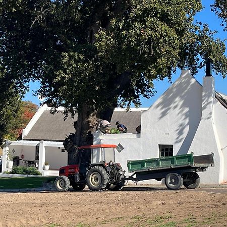 Nassau Guest Farm Hotel Stellenbosch Kültér fotó