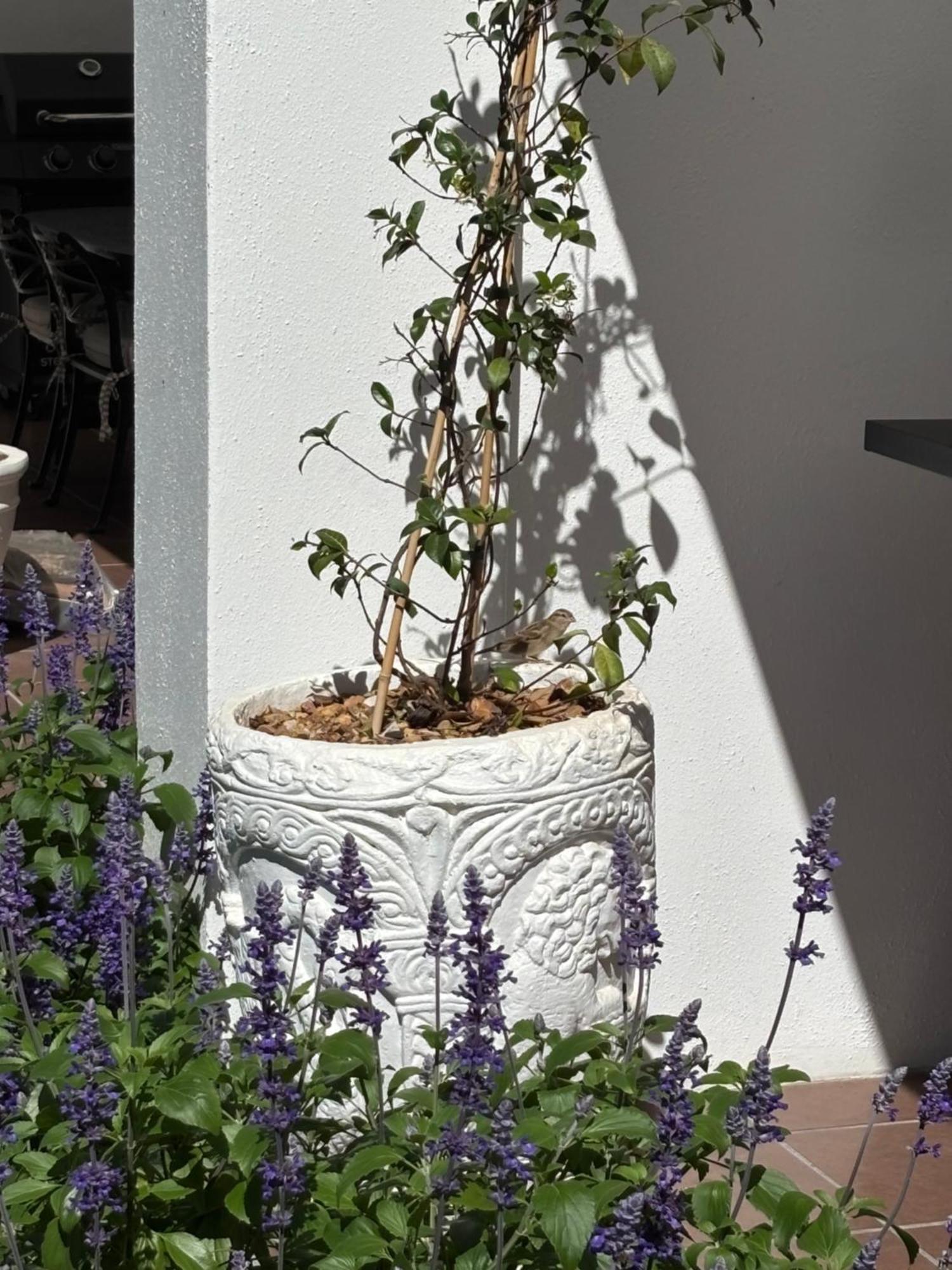 Nassau Guest Farm Hotel Stellenbosch Kültér fotó