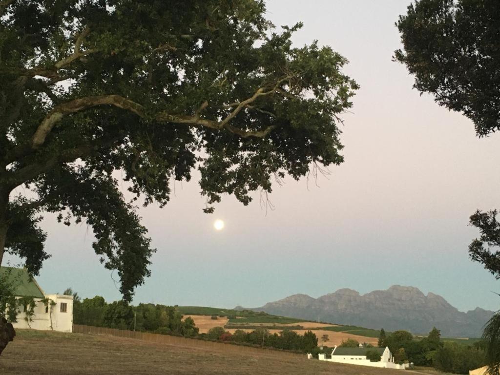 Nassau Guest Farm Hotel Stellenbosch Kültér fotó