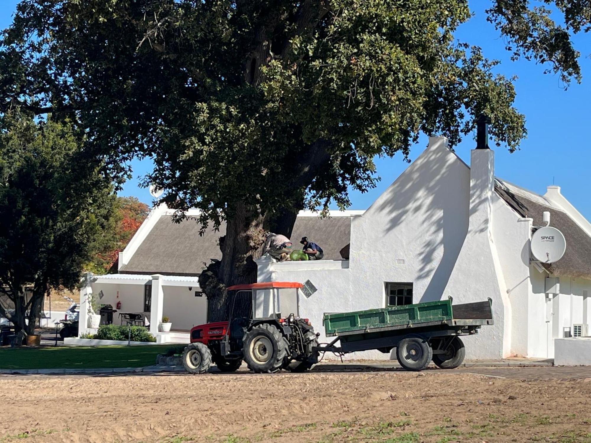 Nassau Guest Farm Hotel Stellenbosch Kültér fotó